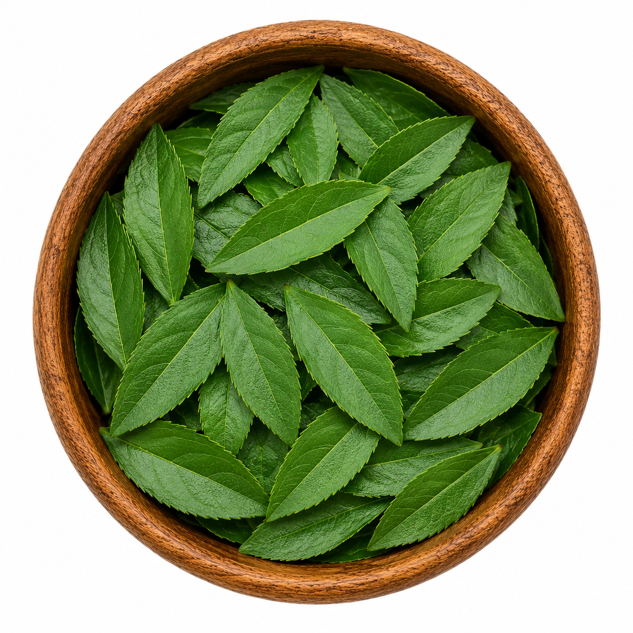 Choline + Inositol